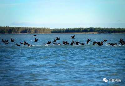 ​洮南，那些让你梦牵魂萦的地方 ——古城记忆系列之城区新貌