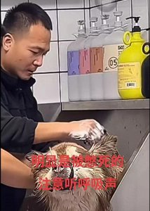 ​潘宏训狗实为虐狗？血腥“菜单”令人不适