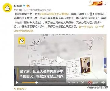 ​土狗被归属禁养犬，网友：“在中国，竟然不能养中华田园犬？”