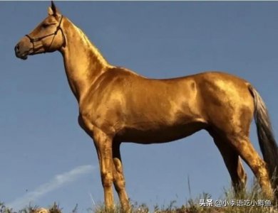 ​一匹马2000万，有人为它不惜挑起两国战争！真宝马阿哈尔捷金马