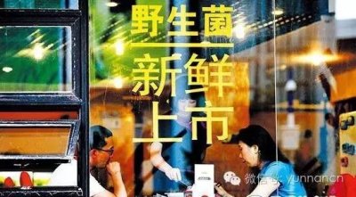 ​在云南，吃菌中毒看“小人人”是怎样一种体验？