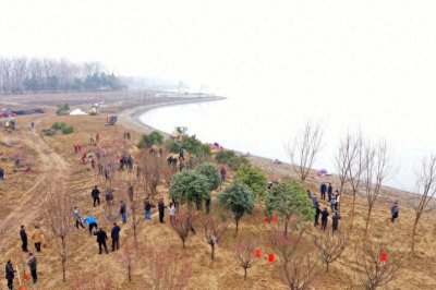 ​为啥退耕还林，又为啥退林还耕，执行政策文件的依据是什么