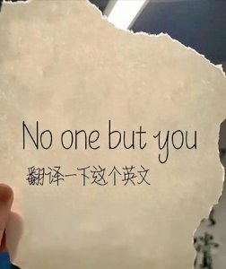 ​“NOonebutyou”用中文怎么说？千人千种，中文真是博大精深
