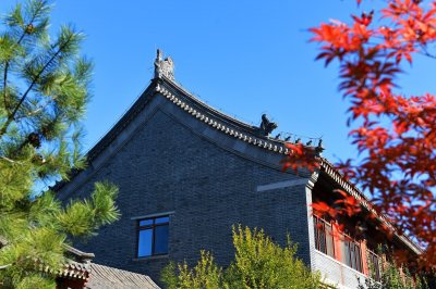 ​大四毕业的学生，最后一年除了考研，还有这四条出路，务必把握