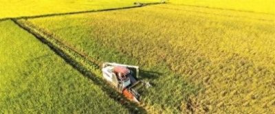 ​广东龙川：打造“农业强、农村美、农民富”的农业强县