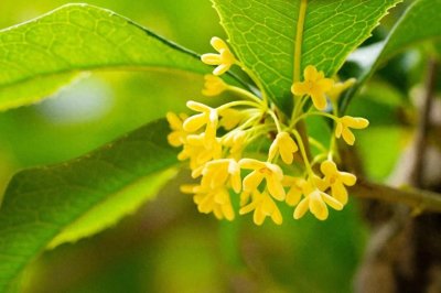 ​杭州街头发生了一起伤人事件