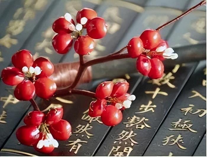 把老婆伤透了心怎么挽救的话(为情伤透了心)