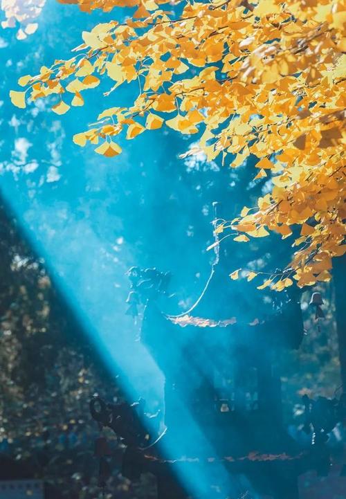 1.如果您想在北京游玩的话,最好提前订好往返车票,不要在车上浪费时间等车就行,还会耽误行程。