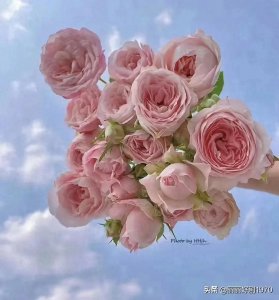 ​婚外情一般，谁先放手呢？