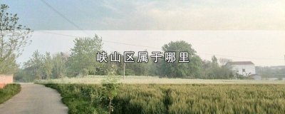 ​峡山区全称 峡山区简介