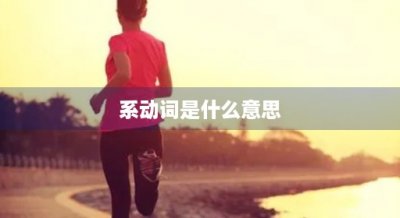 ​系动词是什么意思