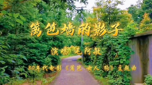 篱笆墙的影子原唱（原唱是毛阿敏）