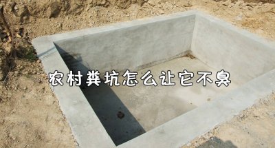 ​农村粪坑怎么让它不臭 农村粪坑生很多蚊子怎么办