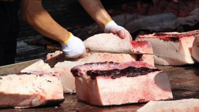 ​鲸鱼肉好吃吗?鲸鱼肉能吃吗?（鲸鱼肉能不能吃）