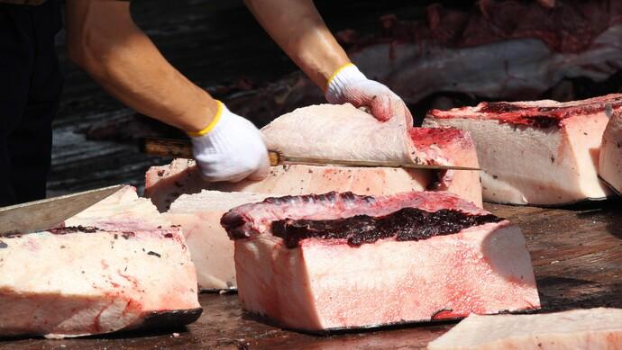 鲸鱼肉好吃吗?鲸鱼肉能吃吗?（鲸鱼肉能不能吃）