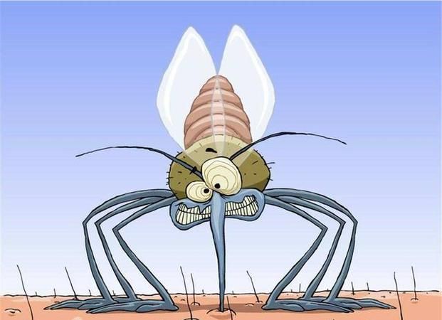 怎么把蚊子吸引出来