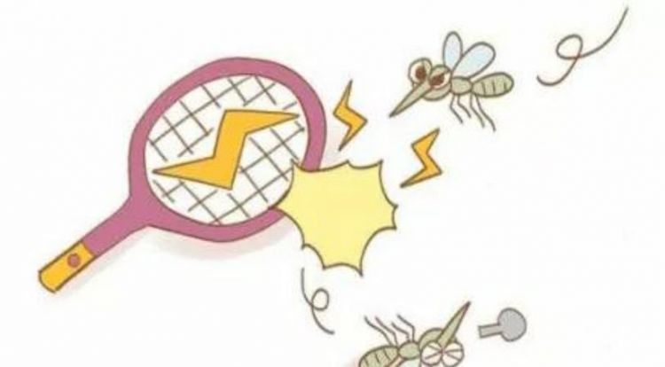 怎么快速吸引蚊子出来