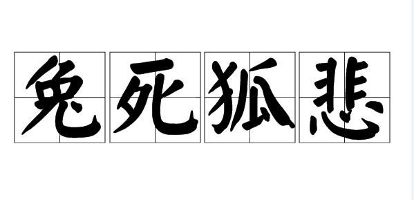 兔死狐悲的意思,兔死狐悲的意思是什么解释清楚图2