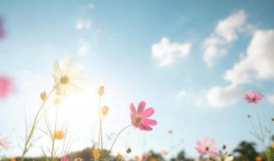 ​地漏高度最低几公分地漏排水管预留高度多少合适