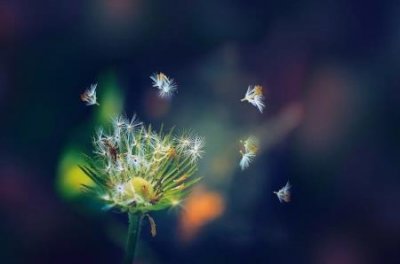 ​天然气压缩机工作原理空压机工作原理