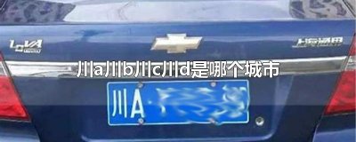 ​川a川b川c川d是哪个城市