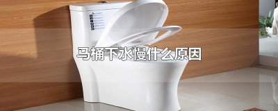 ​马桶下水慢什么原因