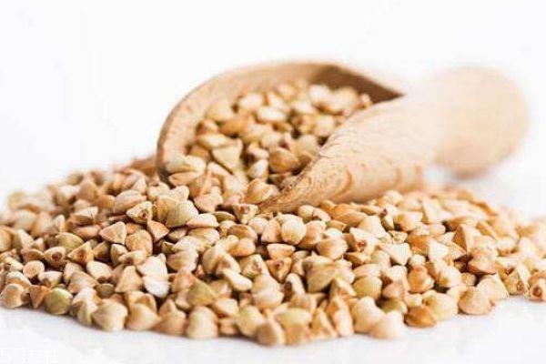 孕妇可以吃荞麦吗 吃荞麦有什么注意事项吗