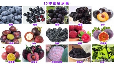 ​紫色水果有哪些？15种紫色水果，除了蓝莓、车厘子你知道几种？