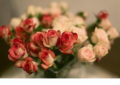 三国名著里的好词好句