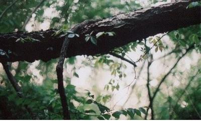 三国名著里的好词好句