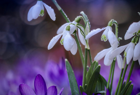 1692963372712606.png image.png