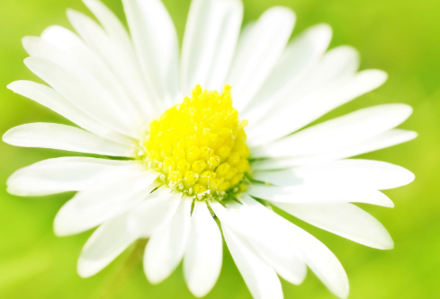 1692963538147943.png image.png