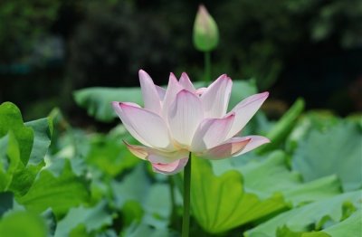 ​非主流火星网名 火星网名大全(精选78个)