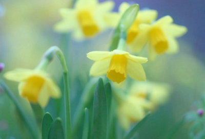 ​好听别致的院落名字(92个)