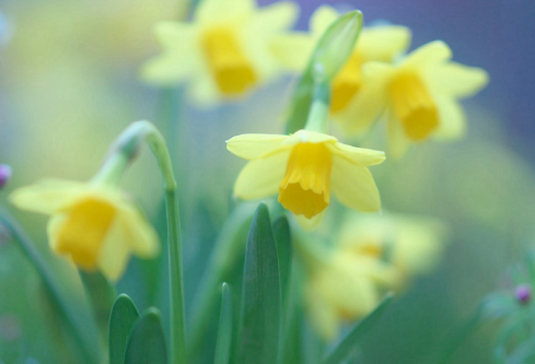 1692963703202077.png image.png