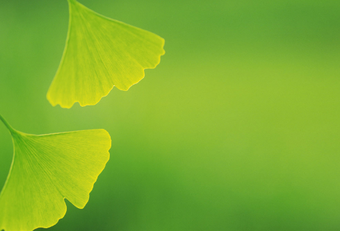 1692963869116159.png image.png