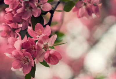 ​孤独等待一个人的网名(61个)