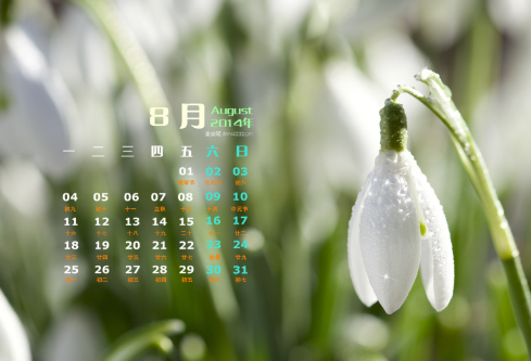 1692964366120488.png image.png