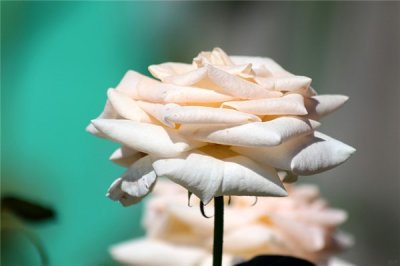 ​好句大全集1000个(28个惊艳好句：句句都是对生活最好的致敬)