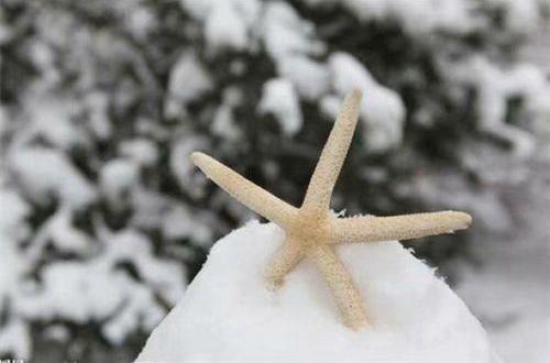 对最爱的人失望的句子