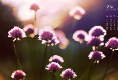 ​帅气一点的英文网名410个