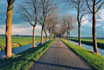 ​所有起泡胶的名字(精选78个)