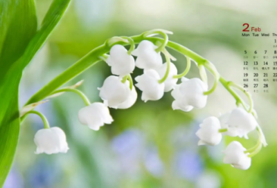 ​给心爱的人取个独特的昵称(70个)