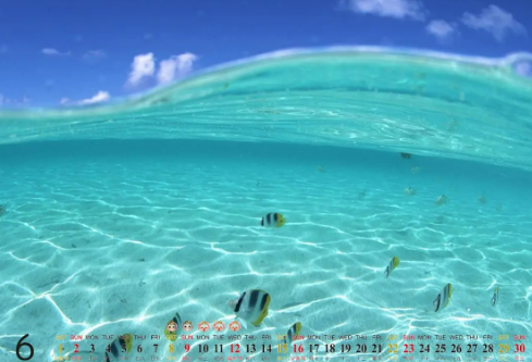 1692986087864981.png image.png