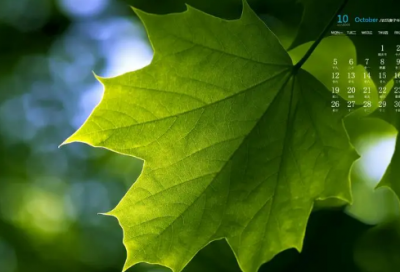 ​心为你动qq网名(60个)