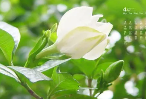 1692986750180733.png image.png