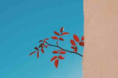 ​正能量句子37句