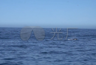 ​一句在朋友圈搞笑幽默的句子(朋友圈经典幽默的语句)