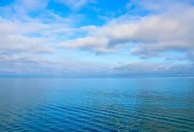 ​声之形经典台词语录集 陈情令经典台词语录(精选40句)