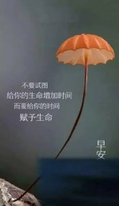 ​女人高雅有内涵的句子 赞美女人金句简短